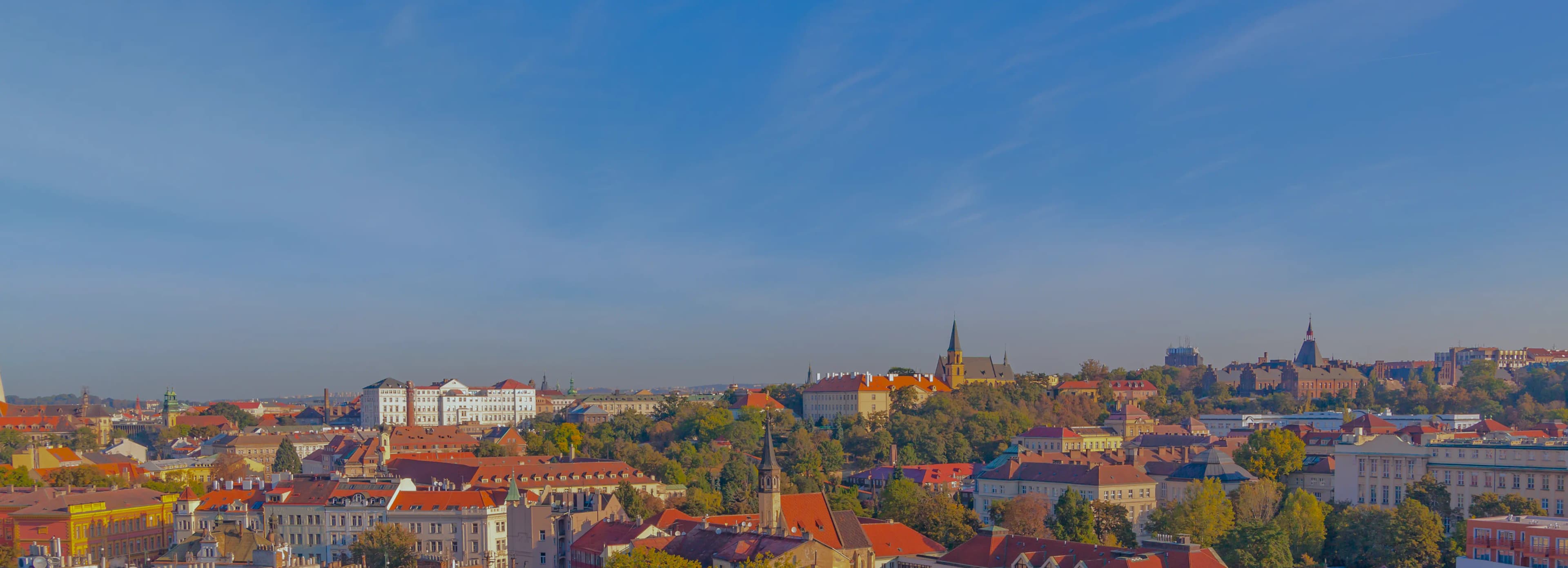 Městský majetek hero image